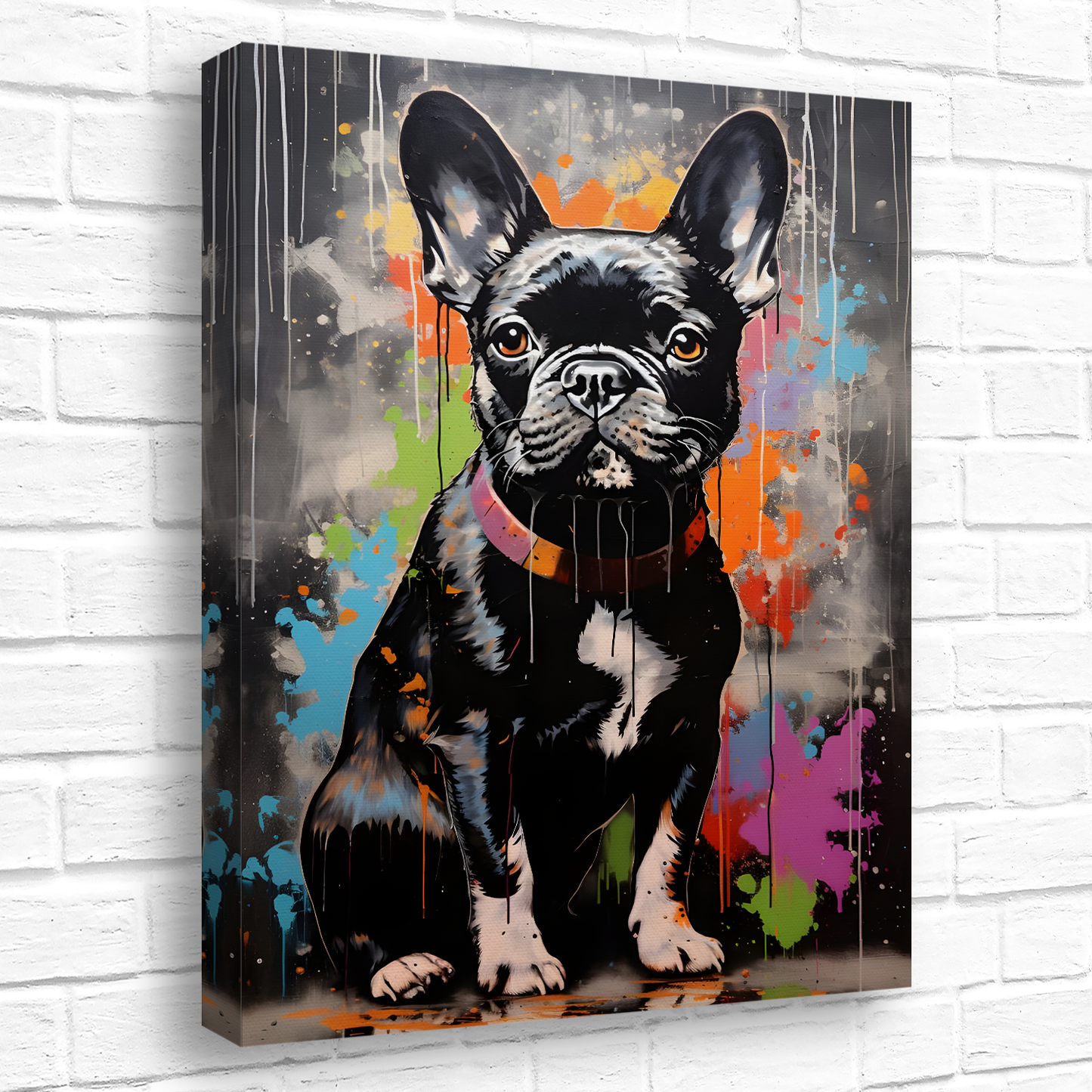 Frenchie Fizz  Deluxe Box Portrait Canvas Prints